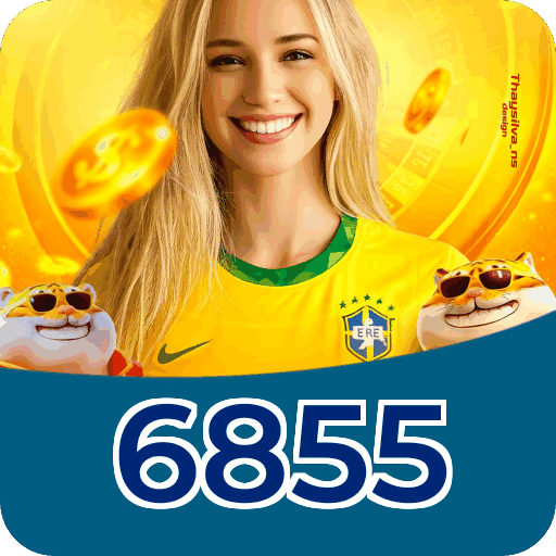 Resumo do fluxo de instalação do app 6855 — ilustração editorial
